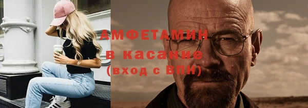 гидра Бородино