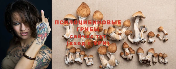 первитин Бугульма