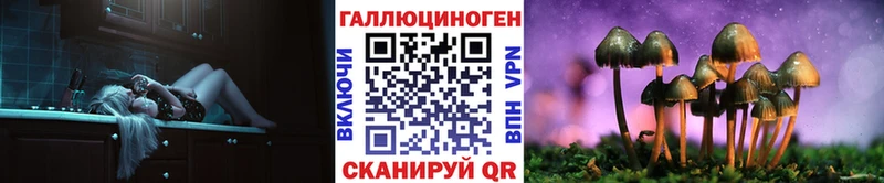 наркошоп  Высоцк  Галлюциногенные грибы MAGIC MUSHROOMS 