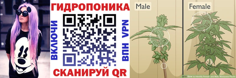 omg ссылка  Высоцк  Конопля VHQ 